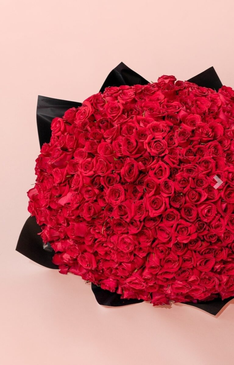 Ramo 500 Rosas – Entreflores Perú